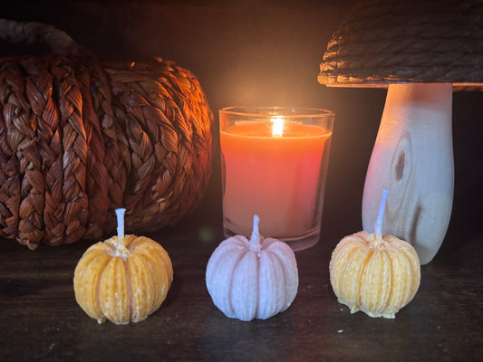 🎃 Pumpkin Candle Trio Gift Set
